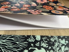 Journals:2 Lined 2 Blank 5.25×8.5inches— 60+pages
