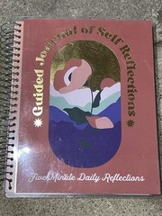 Guided Journal Daily Reflections by Pembrook 12 Months Undated 8×9 Spiral