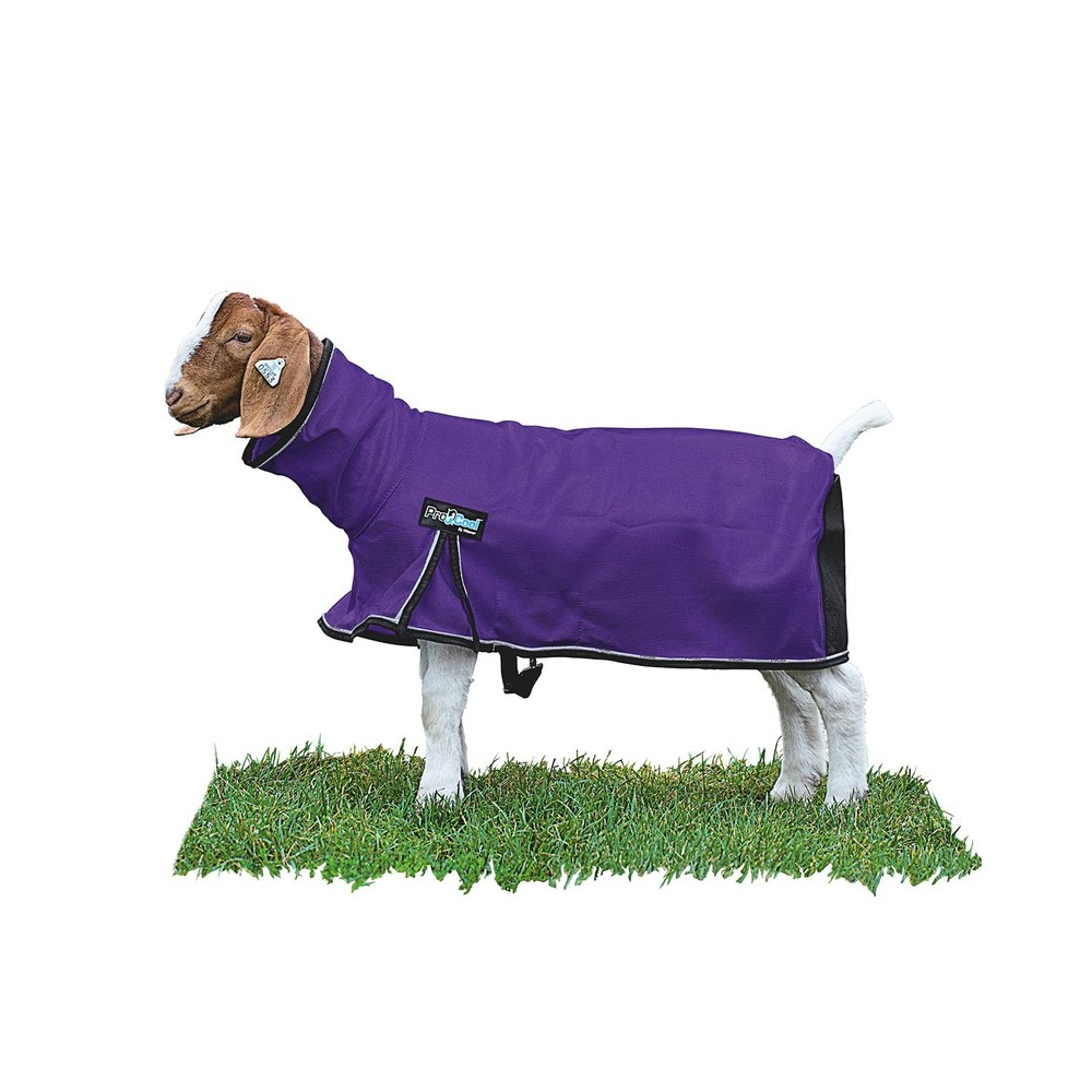 Weaver Livestock Weaver Leather Livestock Procool Mesh Goat Blanket Reflective