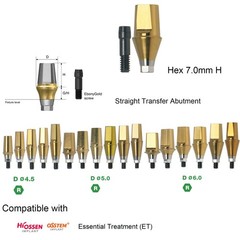 Dental Titanium Cemented Straight Abutment Fit Hiossen ET Regular Hex Platform