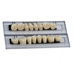 168Pcs/Box Acrylic Resin Denture #23 Dental Upper Lower Shade A2 Teeth Set USA