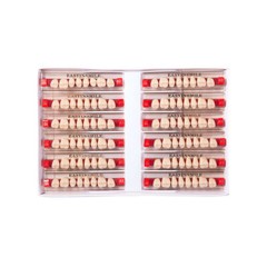 Dental Denture Teeth Acrylic Resin Teeth Full Set Upper Lower A1/A2/A3 3/8/16Set