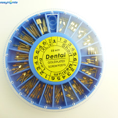 120pcs/kit Dental Screw Post Completed Kit Silver/Gold Plated Endo Conical Pins