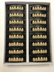 HUGE KAILI Synthetic Polymer False Teeth Upper Anterior S6 Full Box 16sets/6pcs