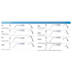 Dental Ultrasonic Piezo Scaler Tips Endo Perio Fit for DTE/SATELEC/NSK/EMS