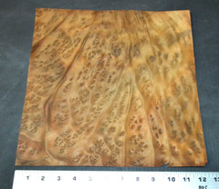 Camphor Burl Raw Wood Veneer Sheet 12 x 12 inches 1/42nd thick 4672-81