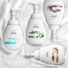 Dove Foaming Hand Wash 4 Count 10.1 Fl Oz (Pack of 4), Aloe and Eucalyptus