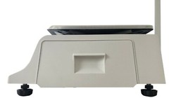VisionTechShop DLP-300 Label Printing Scale Pole Display, 30/60lbs Capacity