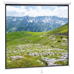 120” Projector Screen Projection Screen Manual Pull Down HD Screen 1:1 Format