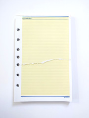 Vintage 1990s AT-A-GLANCE QuickNotes Planner Sheets 49.5 sheets size 5.5″ x 8.5″