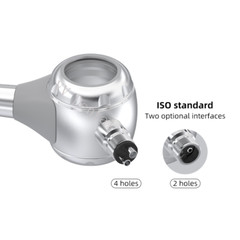 Dental Air Flow Teeth Polishing Polisher Handpiece Hygiene Prophy Jet 2/4 Holes