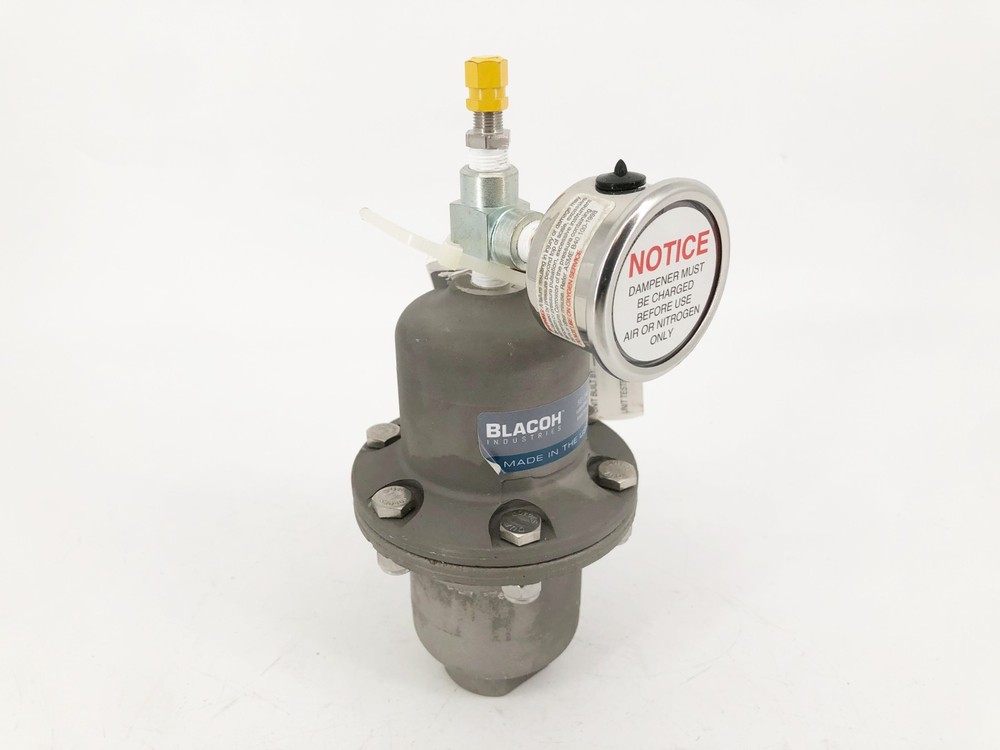 New Blacoh CTS1020B Pulsation Dampener 1/2″ FNPT 300psi – No Box