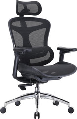 SIHOO Doro C300 Ergonomic Office Chair with Ultra Soft 3D Armrests, Dynamic Lumb