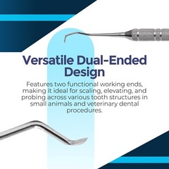 Standard prob/scalers small animals – jaquette supragingival scaler double ended