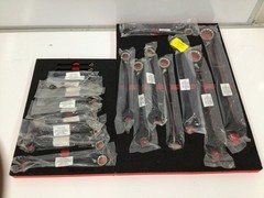 Proto JSCV-20S 20 Piece Reverse Combination Ratcheting Spline Wrench Set