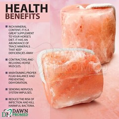 Himalayan Salt Lick Block for Animal Wellness 6.5-8 lbs. 100% Natural Pure Salt