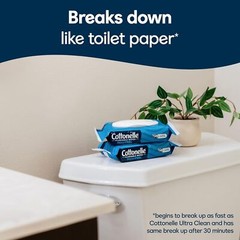 Fresh Feel Flushable Wet Wipes, Adult Wet Wipes, 8 Flip-Top Packs, 42 Wipes per