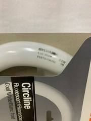 Sylvania Circline Fluorescent Cool White Round light 8 inches 22 Watt (Lot of 2)