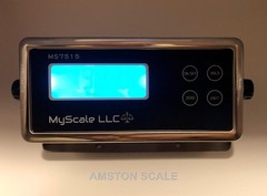 Floor Scale Pre Calibrated 500 LB 2×2 Platform Warehouse Industrial Commercial
