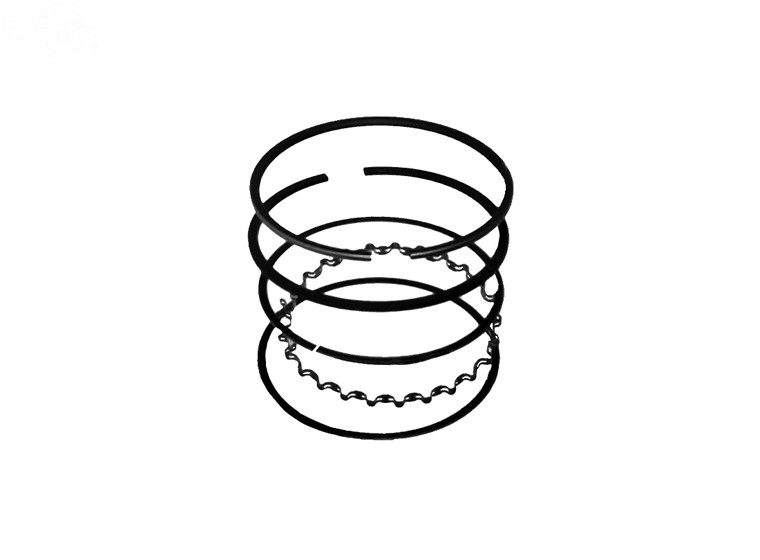 Rotary 10754 Ring Piston Set (Std) B&S 498680,