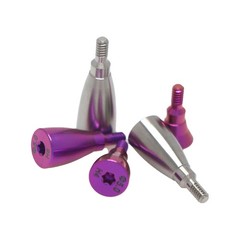 US Fit Straumann ITI BL/BLT Implant Healing Abutment Impression Open/Closed Tray