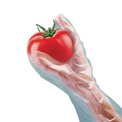 (5 pack) Disposable Poly Food Gloves, 120-Count, Latex-Free, One Size Fits Most