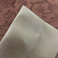 Etrange di Costa Rica B6 Lizard Leather Book Cover Anime Collectible New