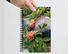 Blank Journal 5.5 × 8.5 Inches, Garden Angel – Peonies, Spiral Bound, 140 Pages