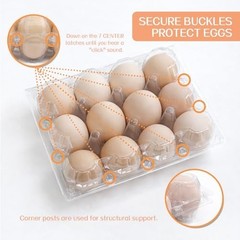100 Packs Egg Cartons Cheap Bulk Plastic for 12 Eggs Clear Egg Cartons