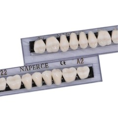 168PC Acrylic Resin Denture #22 Dental Upper Lower Shade A2 Teeth Set 22# A2 US