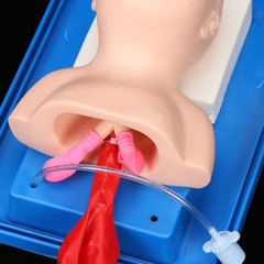 Baby Infant Model Training Teaching Intubation Manikin Airway Management Trainer