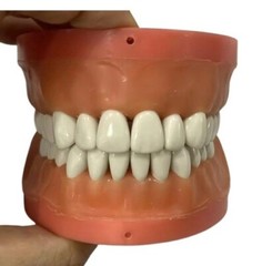 Resin Teeth #1 – #32 for Acadental Modupro Typodont [10 pcs]