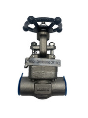 Warren 801-16-T-624 Stainless Steel Gate Valve 3/4″ CL800, F316L