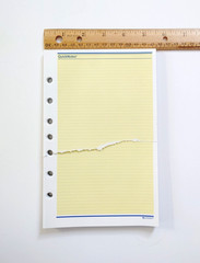Vintage 1990s AT-A-GLANCE QuickNotes Planner Sheets 49.5 sheets size 5.5″ x 8.5″