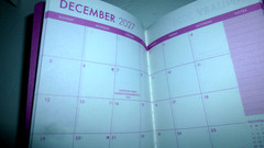 Jot 2027-2028 Dahlias Monthly Format Pocket Planner-4.25″ x 6.25″-Brand New!!