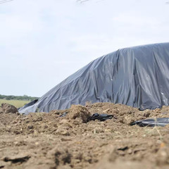 8 Ft. X 100 Ft. Black 4 Mil Plastic Sheeting