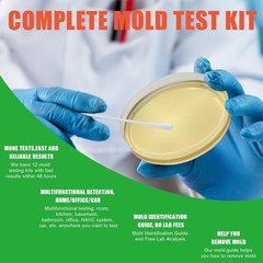 Mold Test Kit for Home Within 8 Individual Tests,DIY Detector at…