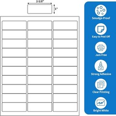 500 Sheets 1×2-5/8 Address Shipping Labels – Bulk Pack for Laser/Inkjet Printers