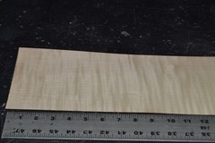 Tiger Maple Raw Wood Veneer Sheet 5 x 45 inches 1/42nd BLEMISHED 35139-62