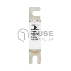 1PC New Eaton Bussmann Series High Speed Square Body Fuse 160A 690V 170M1319
