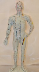 10″ human Chinese acupuncture model 26cm tall anatomical sculpture figurine New