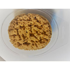 Wall Texture Sponge 5x4in Stepsaver Orange Peel Knockdown Popcorn Drywall Repair