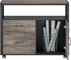 Compact Modern File Cabinet with 2 Drawers & Security Lock, Stylish Home Office