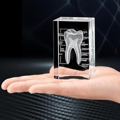 3D Crystal Human Tooth Model, Black Gift Packaging, Wood Base with Yellow Light