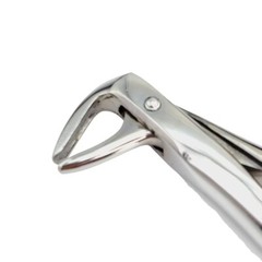 Dental Extraction Forceps (Lower Premolar Wide Opening #74) ARTMAN