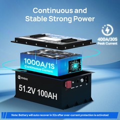 48V 100Ah LiFePO4 Golf Cart Battery 18A Charger Bluetooth Monitor Metal Case