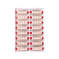 US Dental Acrylic Resin Teeth Anterior/Posterior Shade A1/A2/A3 Full Set Denture