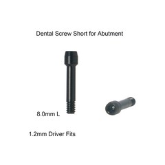 Dental Straight Ti Cemented Abutment Regular Hex Conical W/Screw fit Hiossen ET