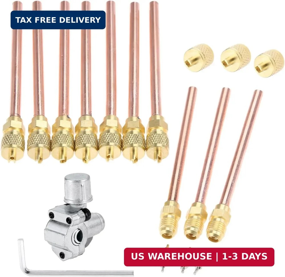 1PC BPV-31 Bullet Piercing Valve with 10 PCS Access Service Valves | 1/4″ SAE x