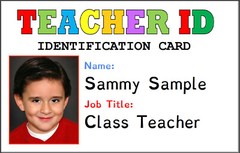 Custom Printed PVC Card Name Badge Printed PVC Plastic Credit Card Sized